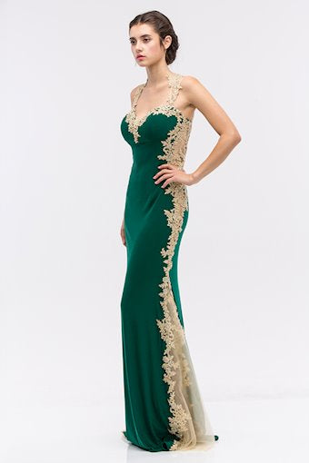 Evening Gown E-6006